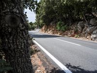 Lush Vegetation on a Road in Spain's Balearic Islands
