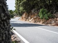 Lush Vegetation on a Road in Spain's Balearic Islands