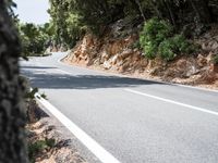 Lush Vegetation on a Road in Spain's Balearic Islands