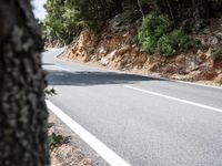 Lush Vegetation on a Road in Spain's Balearic Islands