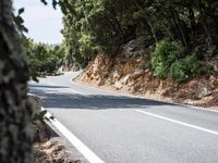 Lush Vegetation on a Road in Spain's Balearic Islands