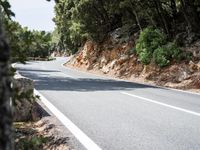 Lush Vegetation on a Road in Spain's Balearic Islands