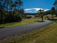 the paved winding road curves around an expansive pasturey area surrounded by forested forests and blue skies