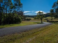 the paved winding road curves around an expansive pasturey area surrounded by forested forests and blue skies