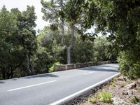Lush Vegetation in a Spanish Residential Area