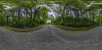 the three way street is shown through a fish - eye lens style image of a road