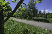 the skateboarder is riding the empty trail near the trees with his board in hand