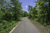 an empty roadway running through a lush green forest in the middle of the day with the sun shining and clear in the distance