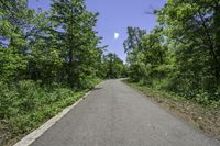 an empty roadway running through a lush green forest in the middle of the day with the sun shining and clear in the distance