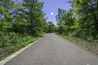 an empty roadway running through a lush green forest in the middle of the day with the sun shining and clear in the distance