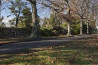 a paved pathway leads down the middle of a park in the fall with tall trees