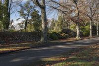 a paved pathway leads down the middle of a park in the fall with tall trees