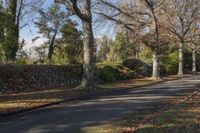 a paved pathway leads down the middle of a park in the fall with tall trees