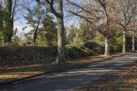 a paved pathway leads down the middle of a park in the fall with tall trees