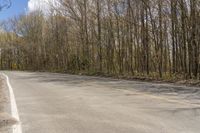 an empty street with trees and yellow traffic signs on it, in the middle of nowhere