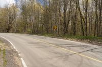 an empty street with trees and yellow traffic signs on it, in the middle of nowhere