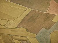 a airplane flies over the tops of an assortment of crops in fields in autumn and fall