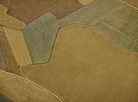 a airplane flies over the tops of an assortment of crops in fields in autumn and fall