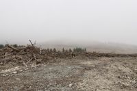 a large pile of trees and rocks near a forest with foggy sky and mountain on the horizon