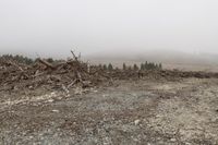 a large pile of trees and rocks near a forest with foggy sky and mountain on the horizon