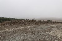 a large pile of trees and rocks near a forest with foggy sky and mountain on the horizon