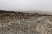 a large pile of trees and rocks near a forest with foggy sky and mountain on the horizon