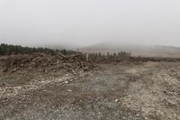 a large pile of trees and rocks near a forest with foggy sky and mountain on the horizon