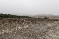 a large pile of trees and rocks near a forest with foggy sky and mountain on the horizon