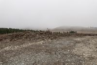 a large pile of trees and rocks near a forest with foggy sky and mountain on the horizon