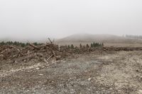 a large pile of trees and rocks near a forest with foggy sky and mountain on the horizon