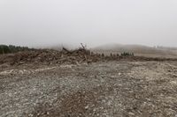 a large pile of trees and rocks near a forest with foggy sky and mountain on the horizon