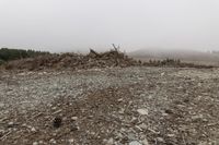 a large pile of trees and rocks near a forest with foggy sky and mountain on the horizon