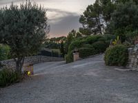 Majestic Majorca: Agricultural Fields at Sunrise