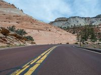 Majestic Mountains: A Road through Zion National Park