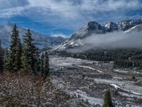 Majestic Mountains and Towering Trees in Colorado