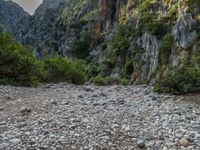 Majestic Rock Wall in Majorca's Scenery