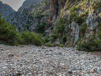 Majestic Rock Wall in Majorca's Scenery