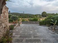 Majorca's Agricultural Landscape at the Break of Day