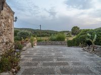 Majorca's Agricultural Landscape at the Break of Day