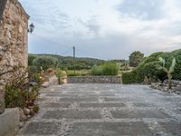 Majorca's Agricultural Landscape at the Break of Day