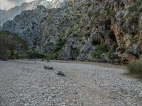 Majorca Spain Rock Wall Landscape