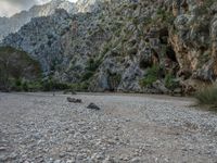 Majorca Spain Rock Wall Landscape