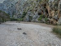 Majorca Spain Rock Wall Landscape