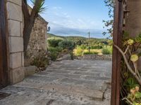 Majorca's Open Space: Agricultural Farmhouse Views