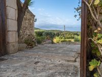 Majorca's Open Space: Agricultural Farmhouse Views