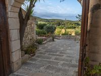 Majorca's Open Space: Agricultural Farmhouse Views