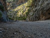 Majorca, Spain: Rock Wall Scenic Landscape