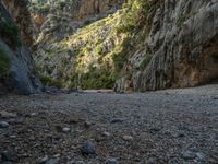 Majorca, Spain: Rock Wall Scenic Landscape