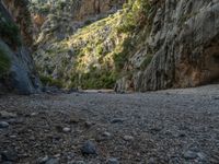 Majorca, Spain: Rock Wall Scenic Landscape