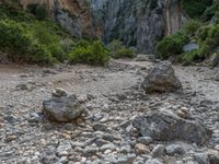 Majorca, Spain: Rocky Wall Landscape